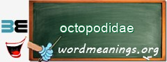 WordMeaning blackboard for octopodidae